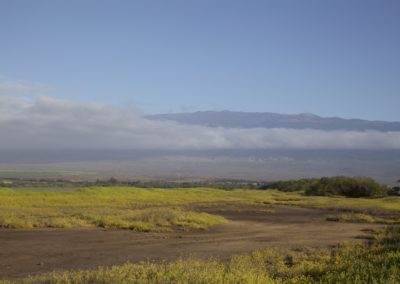 Aerial-Landscape1